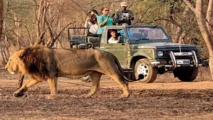 know-details-about-visiting-gir-national-park-1741185036844-16_9.webp
