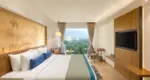 Premiere Girnar View Room 4