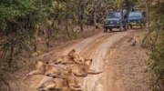 Devaliya Jungle Safari