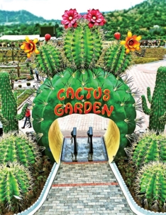 Cactus Garden 2